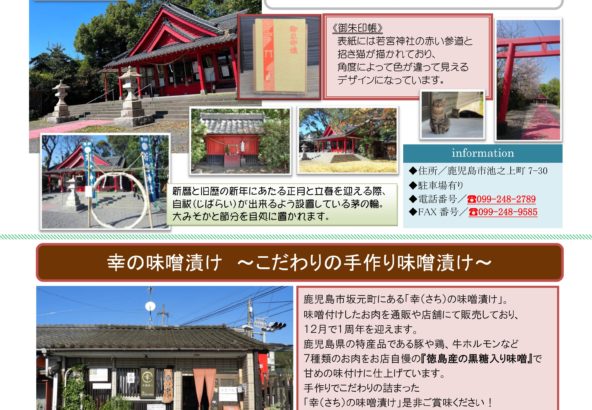 ホタルフレンド通信 2022年11月号